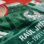 Frazada Providencia Matrimonial Panini Raúl Jiménez Suave Raúl Jiménez 780 G Agua